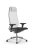 Кресло для руководителя Метта SynchroSit 10 B1-104D - T /Um00/Nb00/D02P(M23.B23.G18.W02) (Белый)