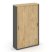 Шкаф-купе комбинированный SN.SHK.E-002 (1200х400х1982) (Антрацит/Тиквуд Светлый)