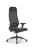 Кресло для руководителя Метта SynchroSit 10 B1-115D - X2+Extra /Um00/Wm12/D02P(M23.B11.G19.W02) (Черный)