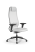 Кресло для руководителя Метта SynchroSit 10 B1-115D - X2+Extra /Um00/Wm12/D02P(M23.B11.G19.W02) (Белый)