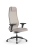 Кресло для руководителя Метта SynchroSit 10 B1-115D - X2+Extra /Um00/Wm12/D02P(M23.B11.G19.W02) (Светло-бежевый)