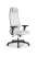 Кресло для руководителя Метта Sit 10 B1-115D - X2+Extra /Um00/Wm12/D02P(M09.B02.G15.W01) (Белый)